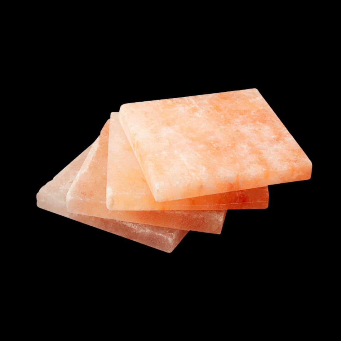 Dry Ager™ UX 1500 PRO DU0055 SALTAIR Salt-Block Set